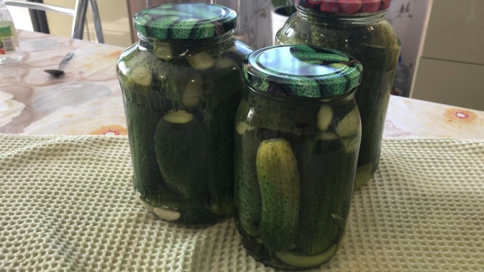 ���� ���� � �����: ��������� ������ ������������ ������� �� ����