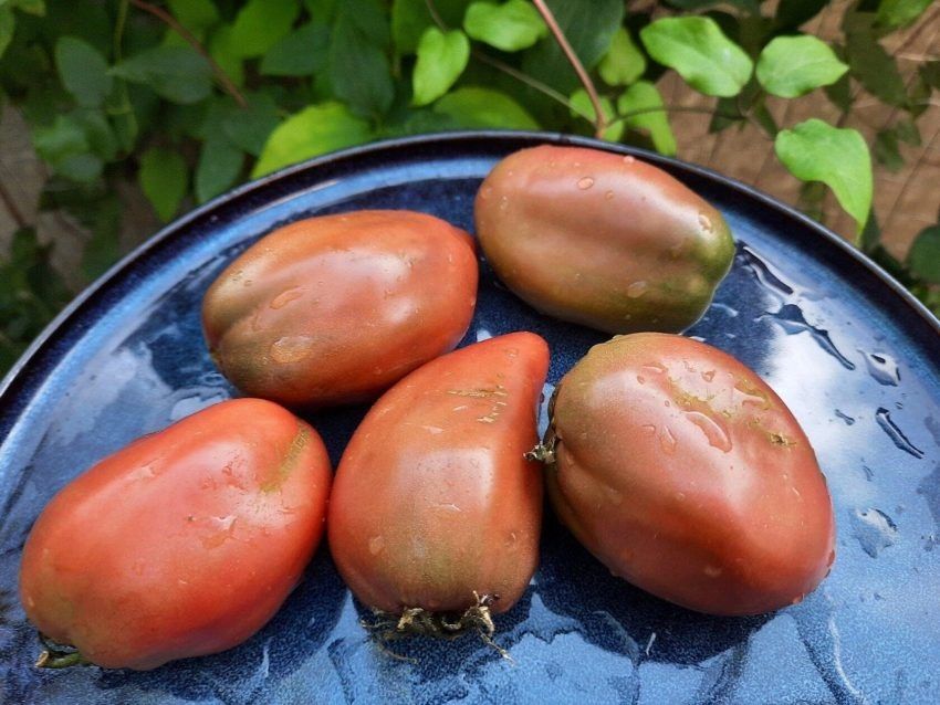 ������ ���� ���������: ��������� ����� ��� ������ �������