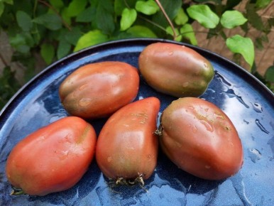 ������ ���� ���������: ��������� ����� ��� ������ �������