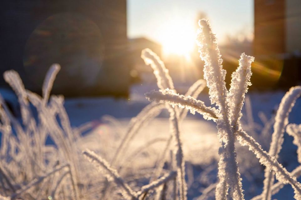 � �������� ���������� ����� ������ ������� ������