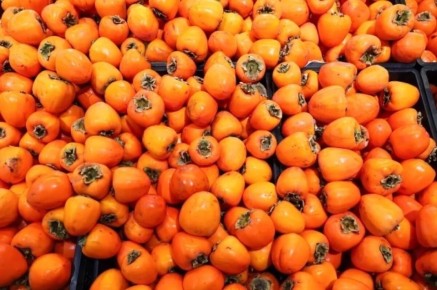 ������, ���� � �����: ��������� � ������� ��� ��������