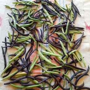 ���� � �������� ������