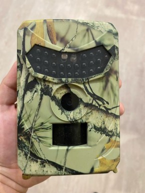 ���� �� �������: ��� ����������� ������ ���� ���������