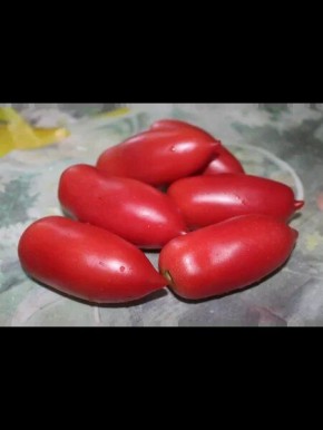 ����� ����������� �����: ������������ ���� � ������������� ���� ��� ������ �������