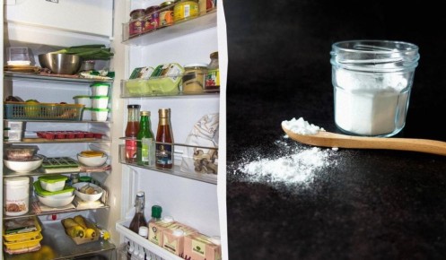 ��� ���������� ���������� �� ������ � ������������ � ������� ������� �������