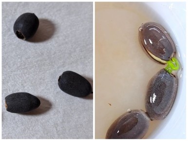 ��������� ����� � ���������: ��� ������ �������� �������� �������