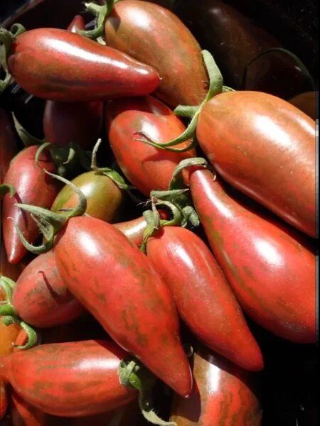 ����� ���������� �������: ���������� ����� � ���������� ���� ��� ����� �������