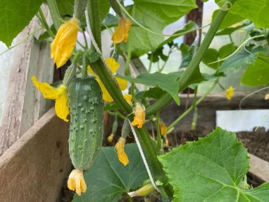 ����� ������ �� �������: ����� ��������� ��������� ������� ������ ������?