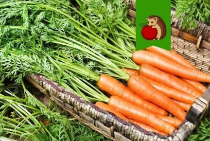 ��� ��������� ������� ������ � ��������� �� ������ ����