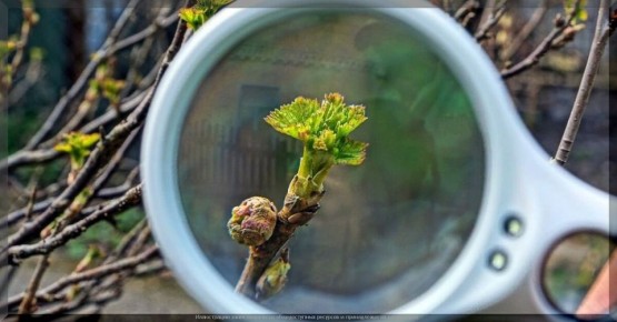 ��� ����� ���� ������� ���� ������