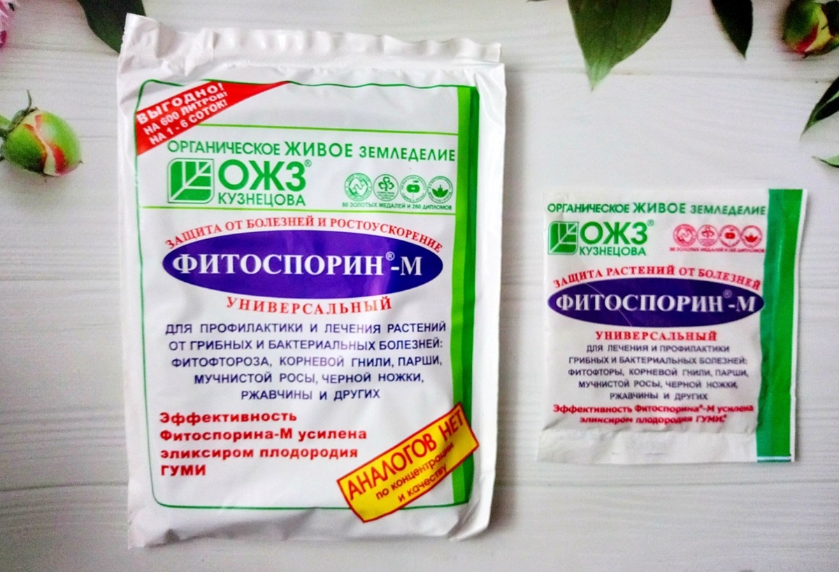 Фитоспорин: секреты успешного использования в саду в жаркие месяцы