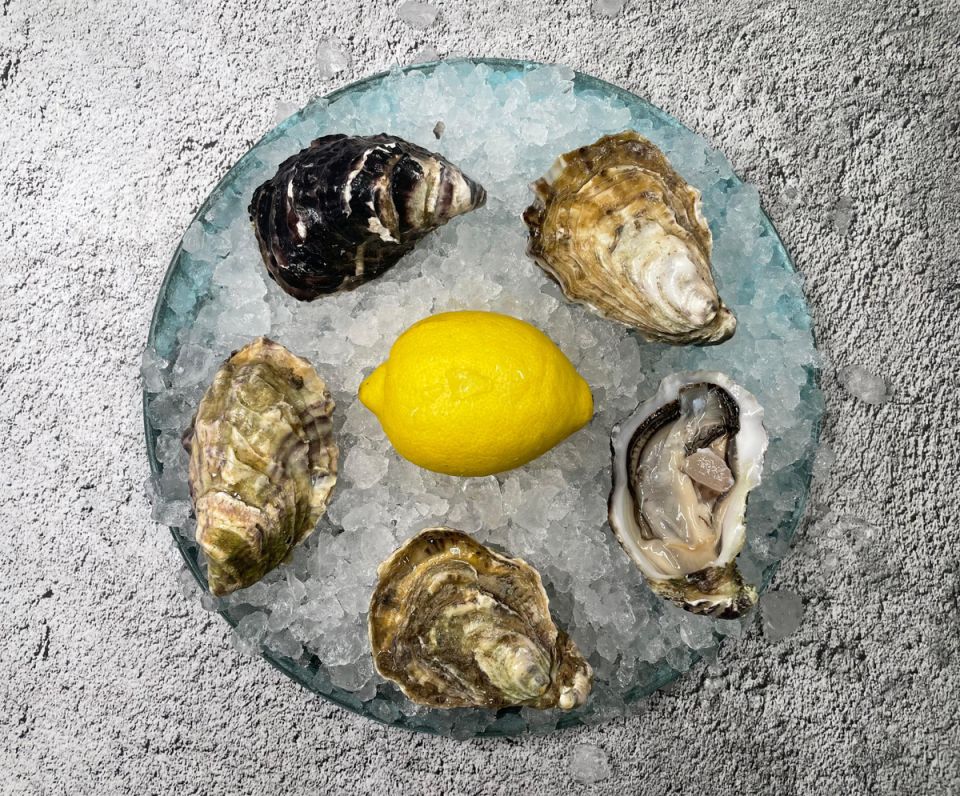 �������: ������ � ���� � ����� ����������� ������������