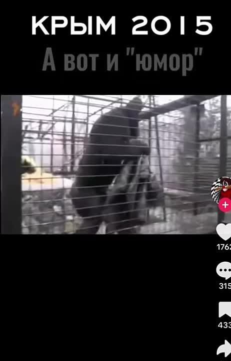 "������ ���������".... ��� ����� � ���������� �� ��� ����, ����� ���-�� ����������� ��� �������� ���������� �� �������. ��� ��� ��������. ������ ��� (������ �������) 10 ��� ����� ���������� ��������� ����� � "��������" ��...