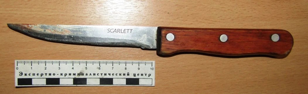 В Пинежском районе задержан подозреваемый в покушении на убийство местного жителя