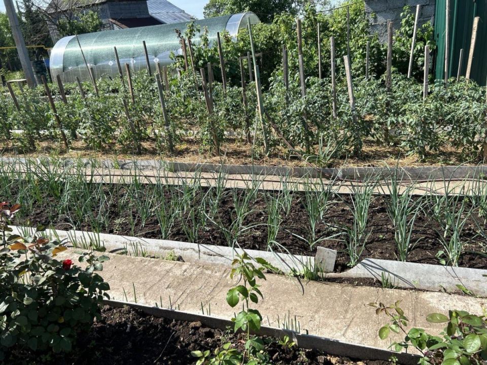 ����������� ������ ��� ��������: �������� ������, ������� ������ ������������