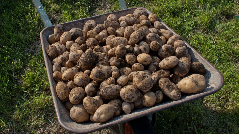 ������� �������� ������� ���������