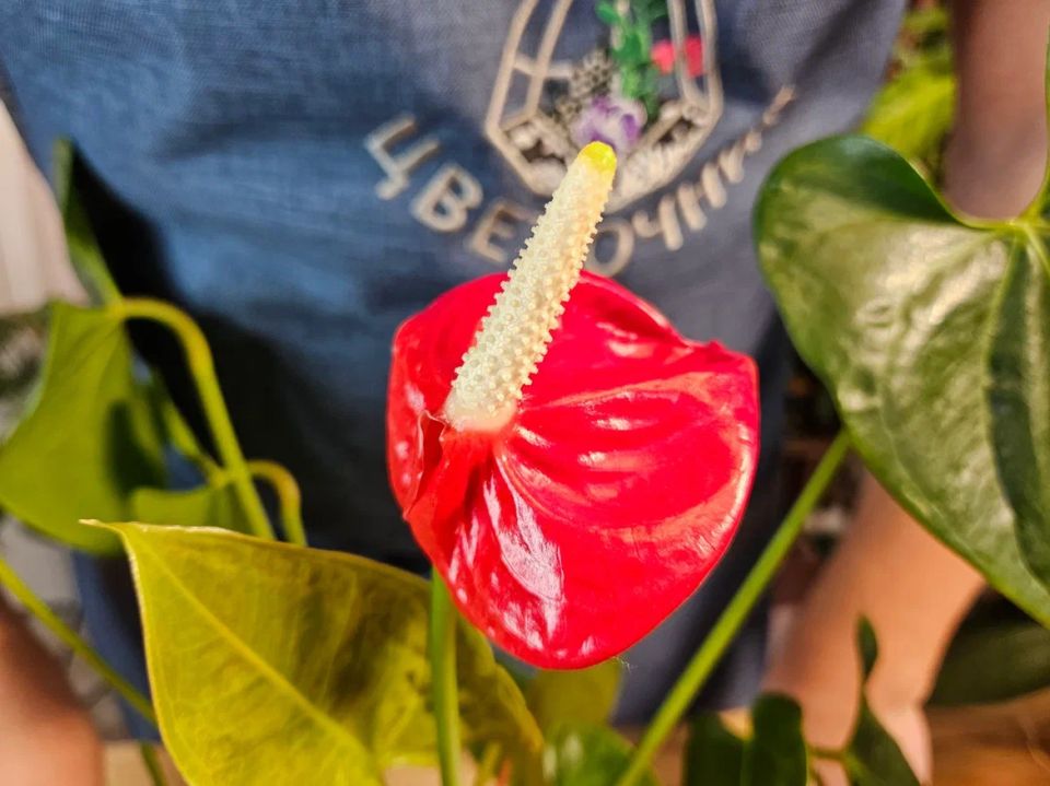 ������������ ������� ������� �����: 8 ��������� �������� � ������������ ������