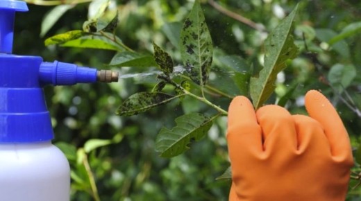 ����������� ������ � ���: ��� ����������� �������� ��� ������ ������ ����