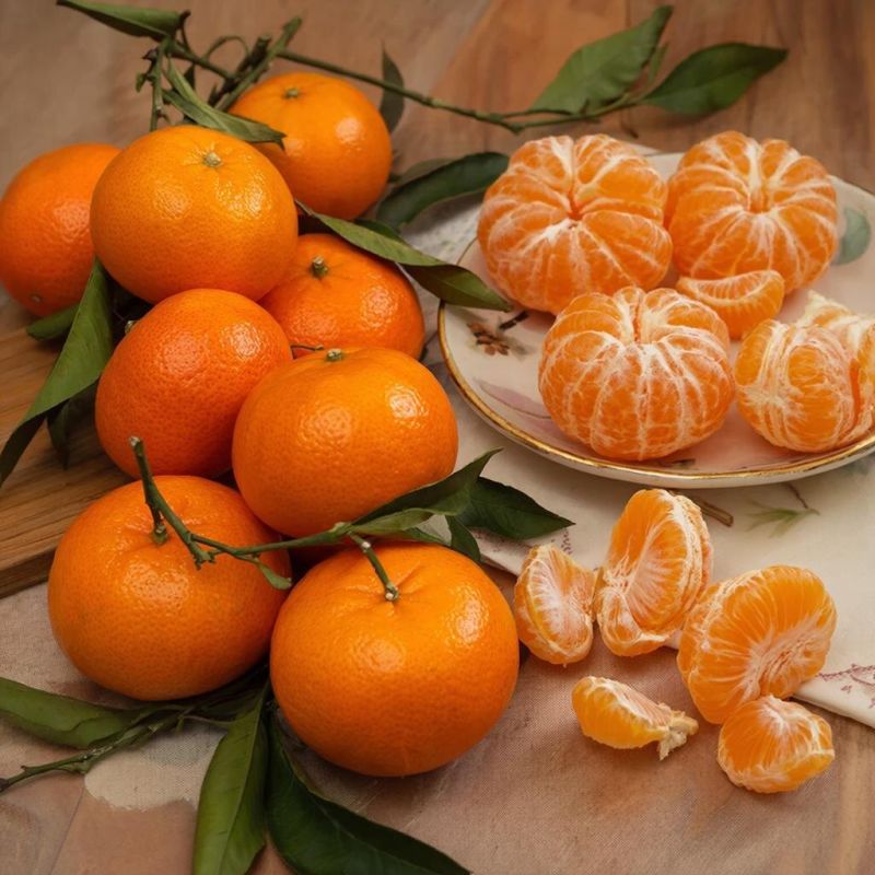 ��� ������� ��������� ��������� ��� ������������ �����