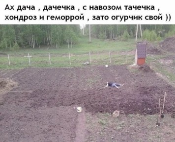 Дачная жизнь: смех сквозь трудности