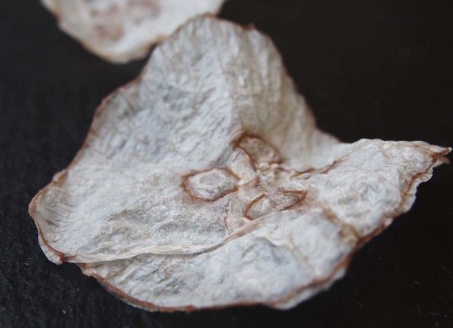 ��������� ����� �� ����� ����: �� ����� �� ����������