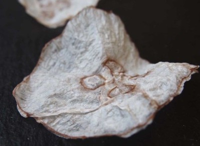 ��������� ����� �� ����� ����: �� ����� �� ����������