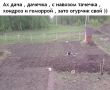 Дачная жизнь: смех сквозь трудности