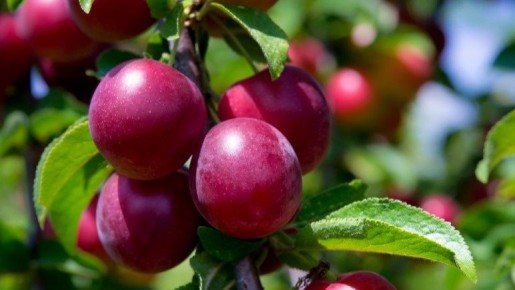 ��� ��������� ������ ������� ����� � ��� ����: ������� ��������� �����