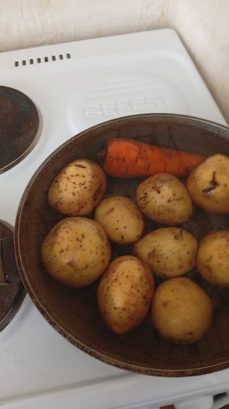 ������� �������: ������������ ����� � �������� � ���������������� ���������