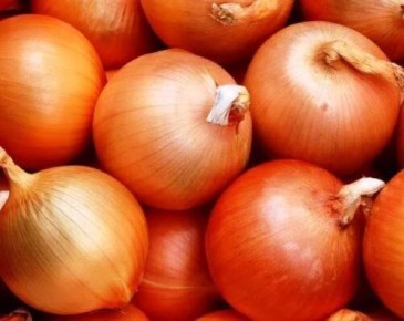 Как правильно сохранить лук в квартире зимой: советы и лучшие сорта