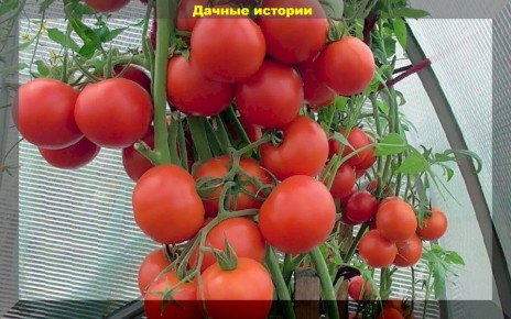 ������ ��� �������: ��� ������� ��������� ���� ��� ������ ����