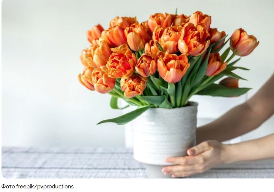 ������� ��������� � 8 �����: ��� ���������� ���� �������� ���������