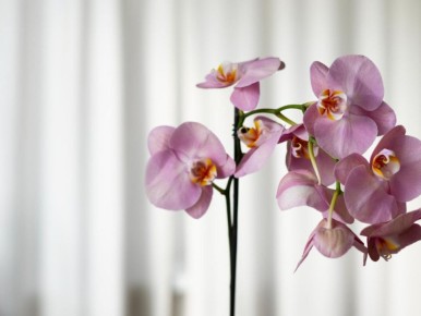 ������ ���� ������� �� ������: 5 ������ � �������� ����� ����������