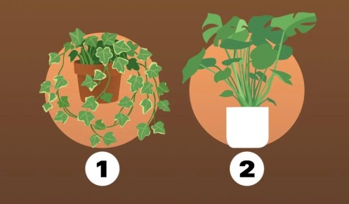 Как вы относитесь к признанию ошибок: проверьте свою личность за минуту