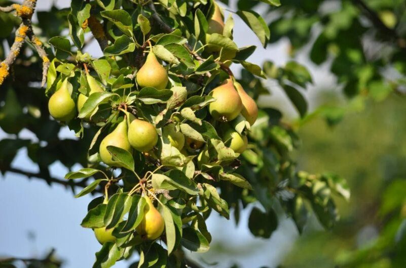 ����������� ������� ������ � ��������� �� ����� � ������ ������������