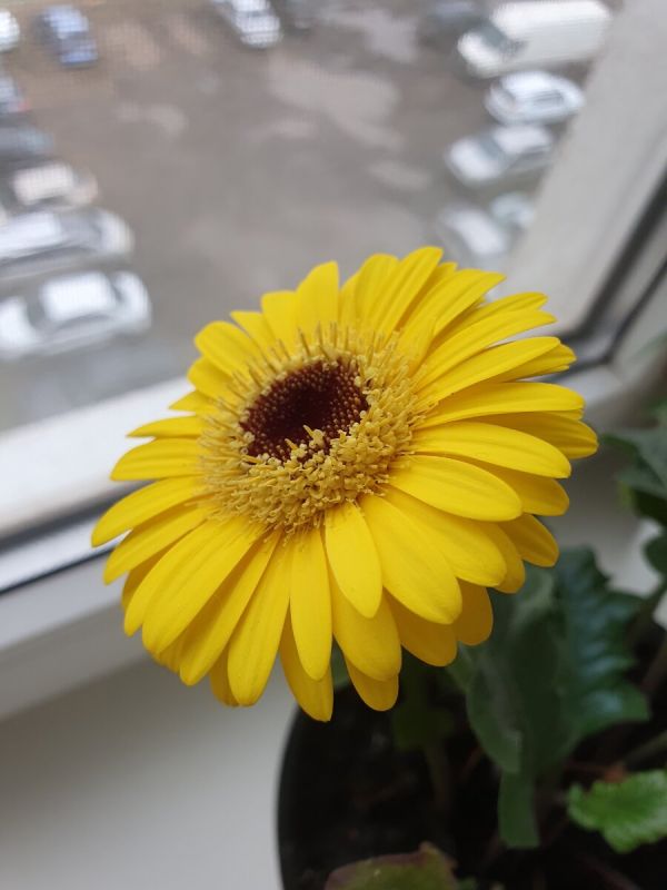 ������������ ��������� ��������� ��������: ������ ������ � ����������� ������