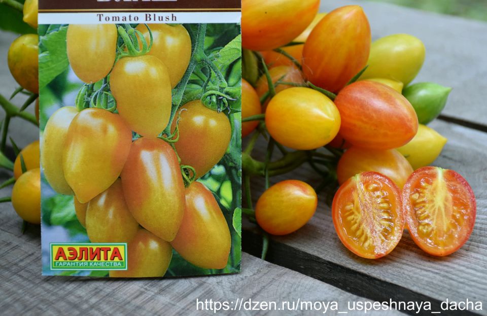 ����� ���� �������, ������� �������� ������ �����������