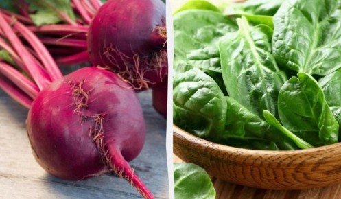 Овощи, богатые магнием: что добавить в рацион