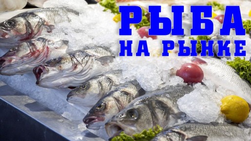 Как выбрать рыбу на рынке: советы, которые стоит знать