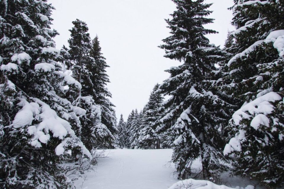 � ����������� � ������������ ������� ������� ����������� �������