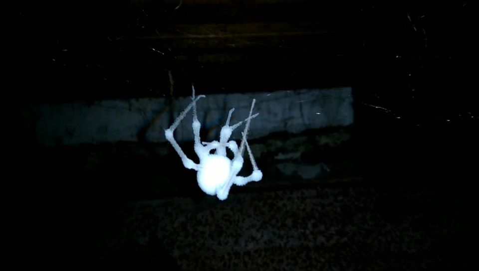 �������, ������� �������: �� ������ ���������� � �������