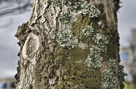 ��� �������� �������� ������� �� ���������� � ���