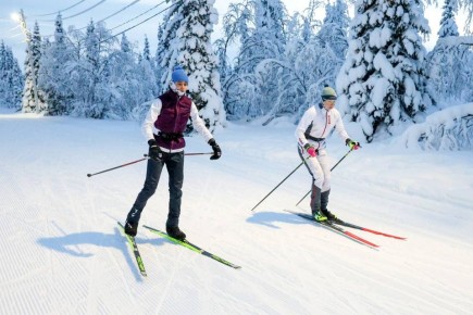 ������������� ������� �������� ������������� ������