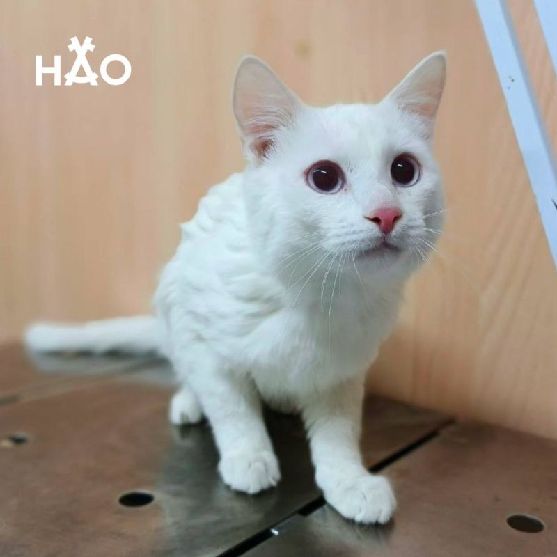 ������� ������ ��� �������� ��� � �������� ���� ����� ������