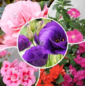 ������ ������ ��� ������: ��� ����� �����, ����� �� ������� ����