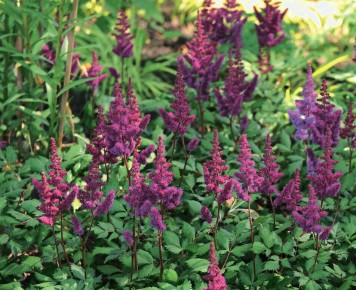 ������� � ���������: 10 ����������� ���� ��� ��������� �������