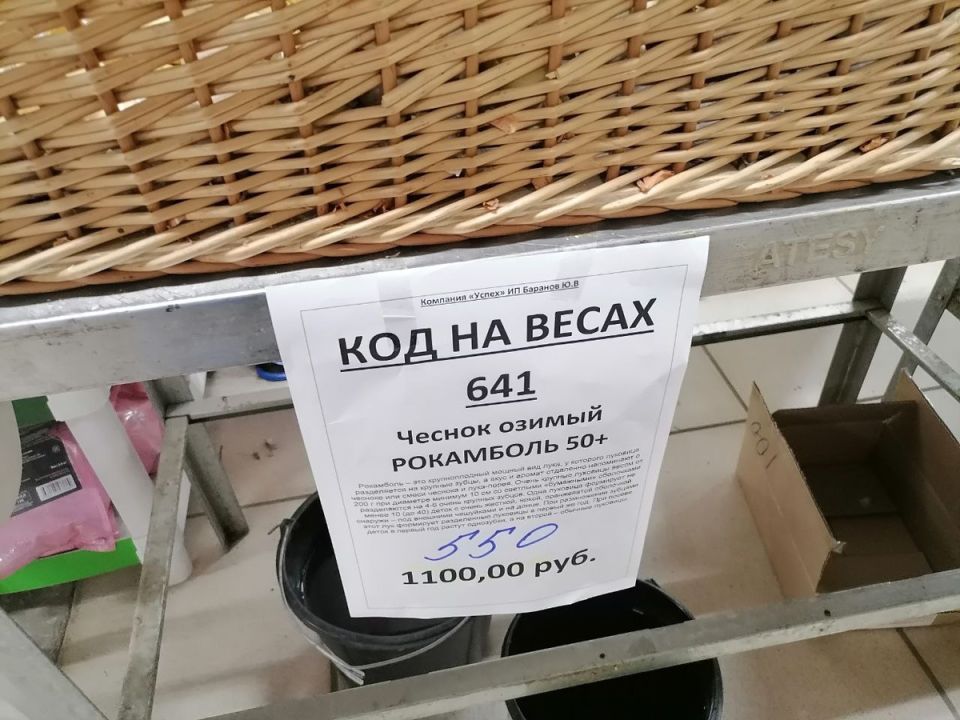 ���������: ����� � ��� ������ ���� ���������� ���?