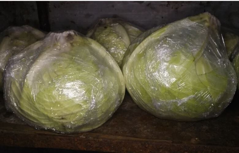 ������� ��������� ������� ������ �� �����: ������������ �����������