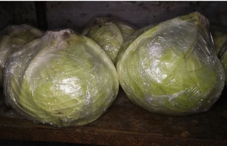 Способы сохранить капусту свежей до весны: практическое руководство