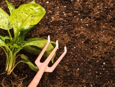 ��� ��������� ���������� �������� � �����: ������ ��� ���������